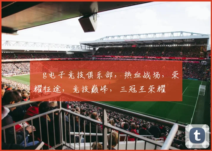 ⅴg电子竞技俱乐部，热血战场，荣耀征途，竞技巅峰，三冠王荣耀