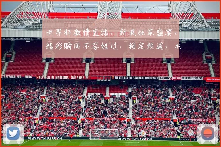 世界杯激情直播，新浪独家盛宴，精彩瞬间不容错过，锁定频道，共赏足球魅力