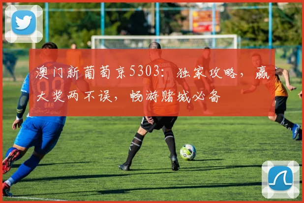 澳门新葡萄京5303：独家攻略，赢大奖两不误，畅游赌城必备