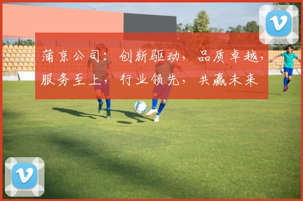蒲京公司：创新驱动，品质卓越，服务至上，行业领先，共赢未来