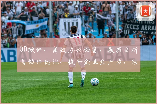 OD软件，高效办公必备，数据分析与协作优化，提升企业生产力，助力业务成长